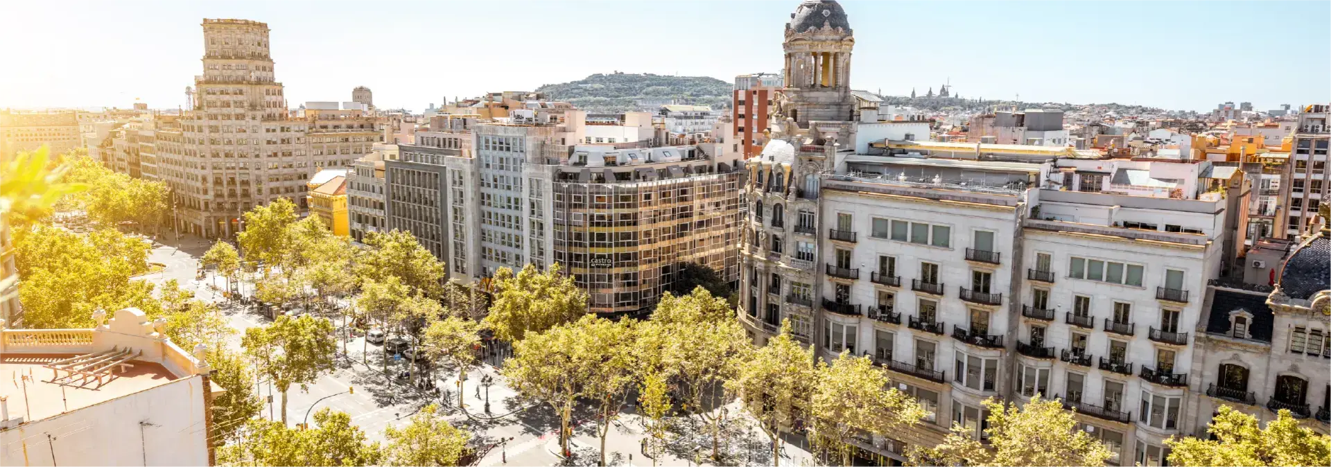 Contacta con nosotros